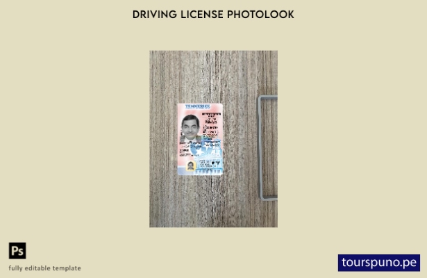 listo para imprimir EE. UU. Tennessee con licencia de conducir presente plantill